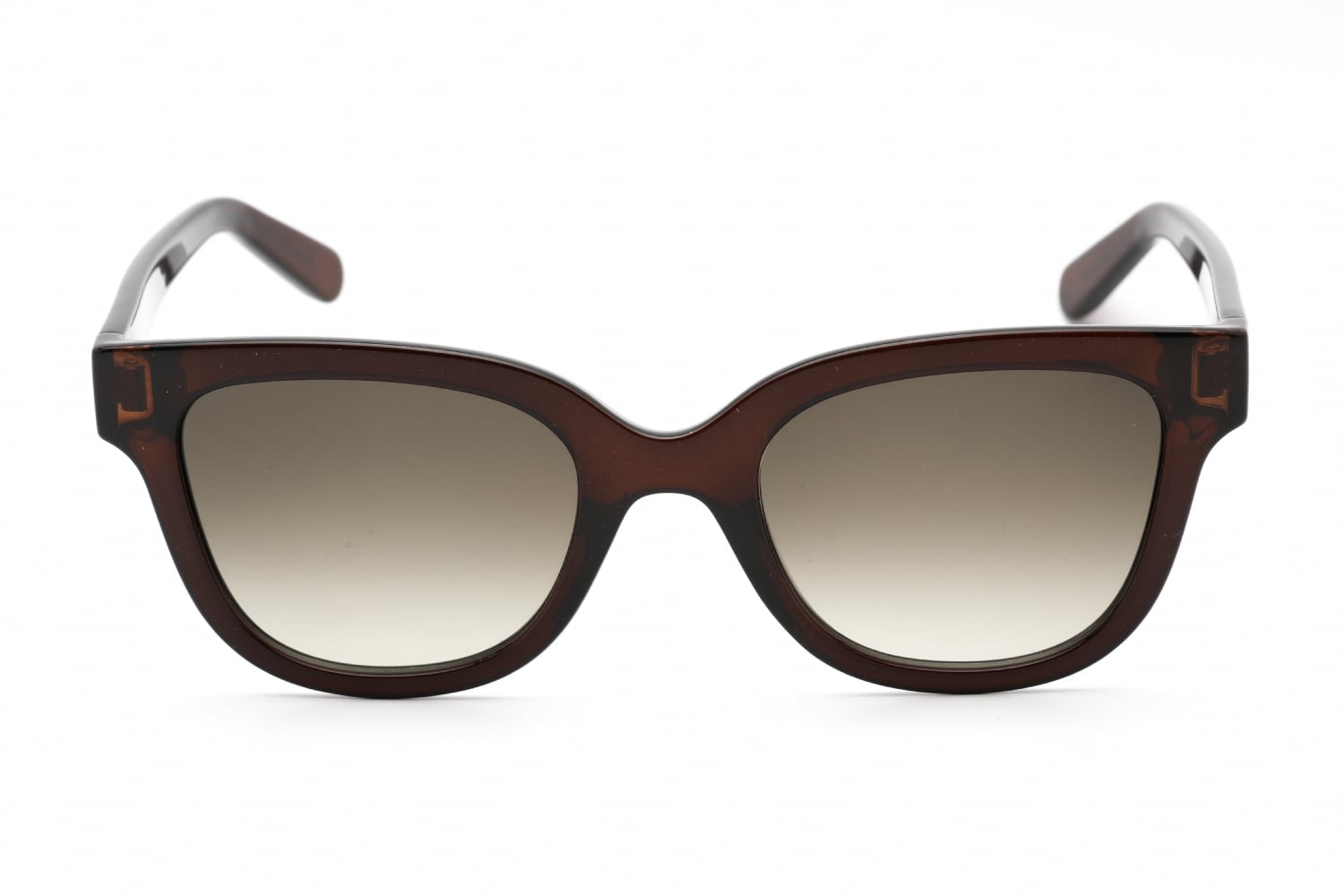 Opticontacts.com -- Salvatore Ferragamo SF1066S display picture 1