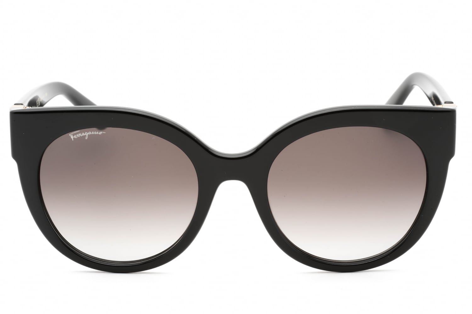 Salvatore Ferragamo SF1031S Sunglasses Salvatore Ferragamo SF1031S Sunglasses main image 2