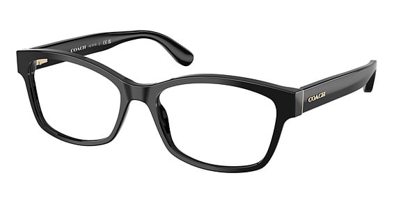 COACH HC6116 - Black, Plastic, Oval frame