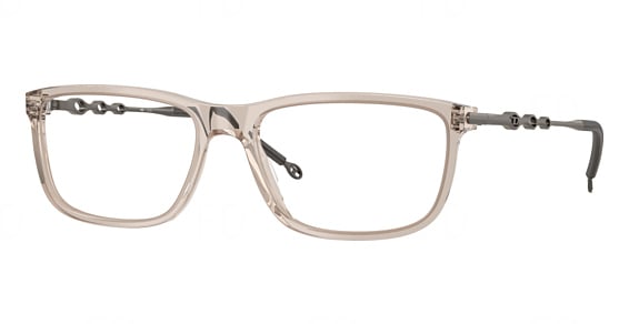 Diesel DL4006 - Transparent Taupe, Plastic, Rectangle frame