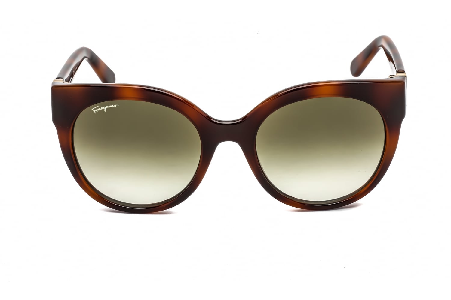 Salvatore Ferragamo SF1031S - Tortoise, Acetate, Round frame