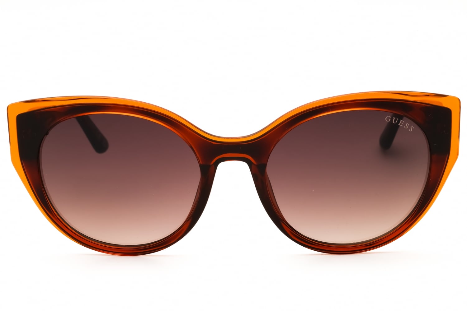 Guess GU7909 - Dark Havana, Acetate, Cat Eye frame