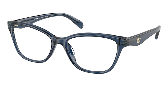 COACH HC6243U - Transparent Blue, Plastic, Oval frame