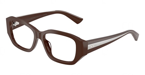 Jimmy Choo JC3065BU - Chocolate, Plastic, Mixed Shapes frame
