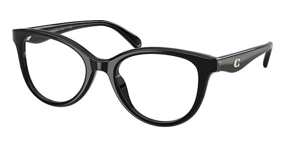 COACH HC6284F - Black, Plastic, Oval frame