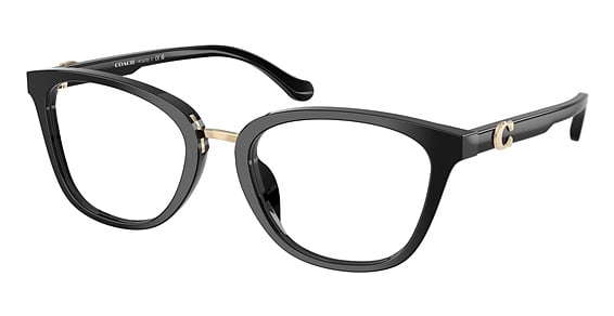 COACH HC6272U - Black, Plastic, Cat Eye frame