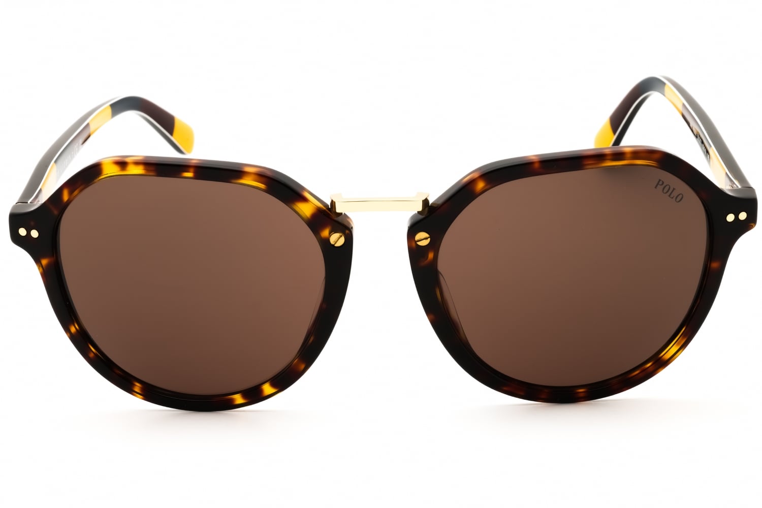 Polo PH4223U - Shiny Dark Tortoise/gold, Acetate, Round frame
