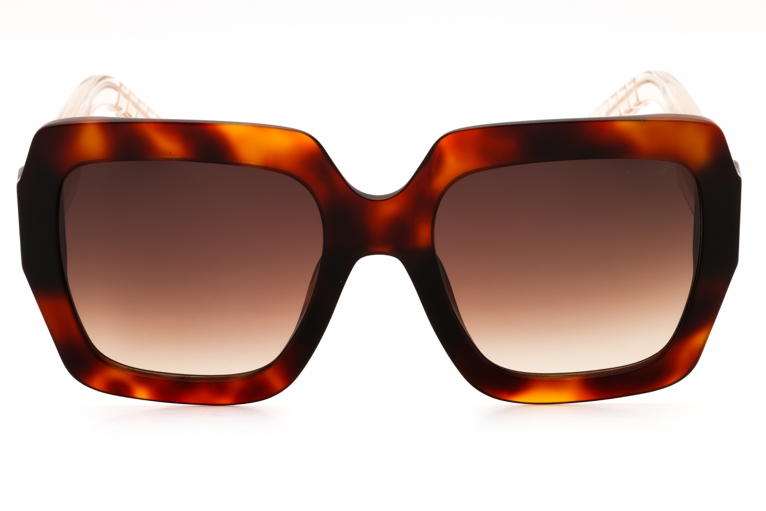 Chopard SCH363M - Shiny Havana, Acetate, Rectangle frame