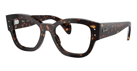 Ray-Ban RX7681V JORGE - Havana, Plastic, Oval frame