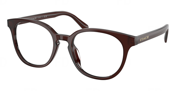 COACH HC6301U - Milky Pecan, Plastic, Mixed Shapes frame